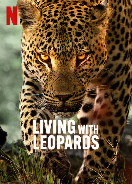مشاهدة فيلم Living with Leopards 2024 مترجم حصرى اون لاين على أكثر من سيرفر
